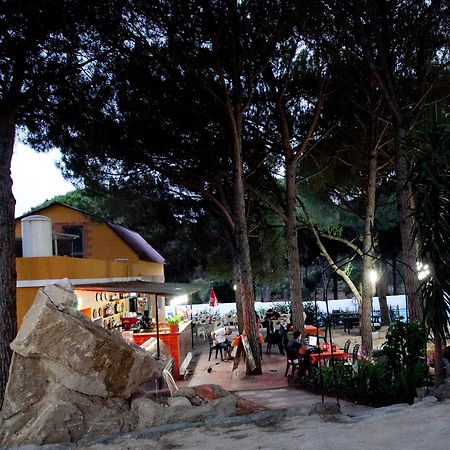 Camping Vejer Вехер де ла Фронтера Екстериор снимка