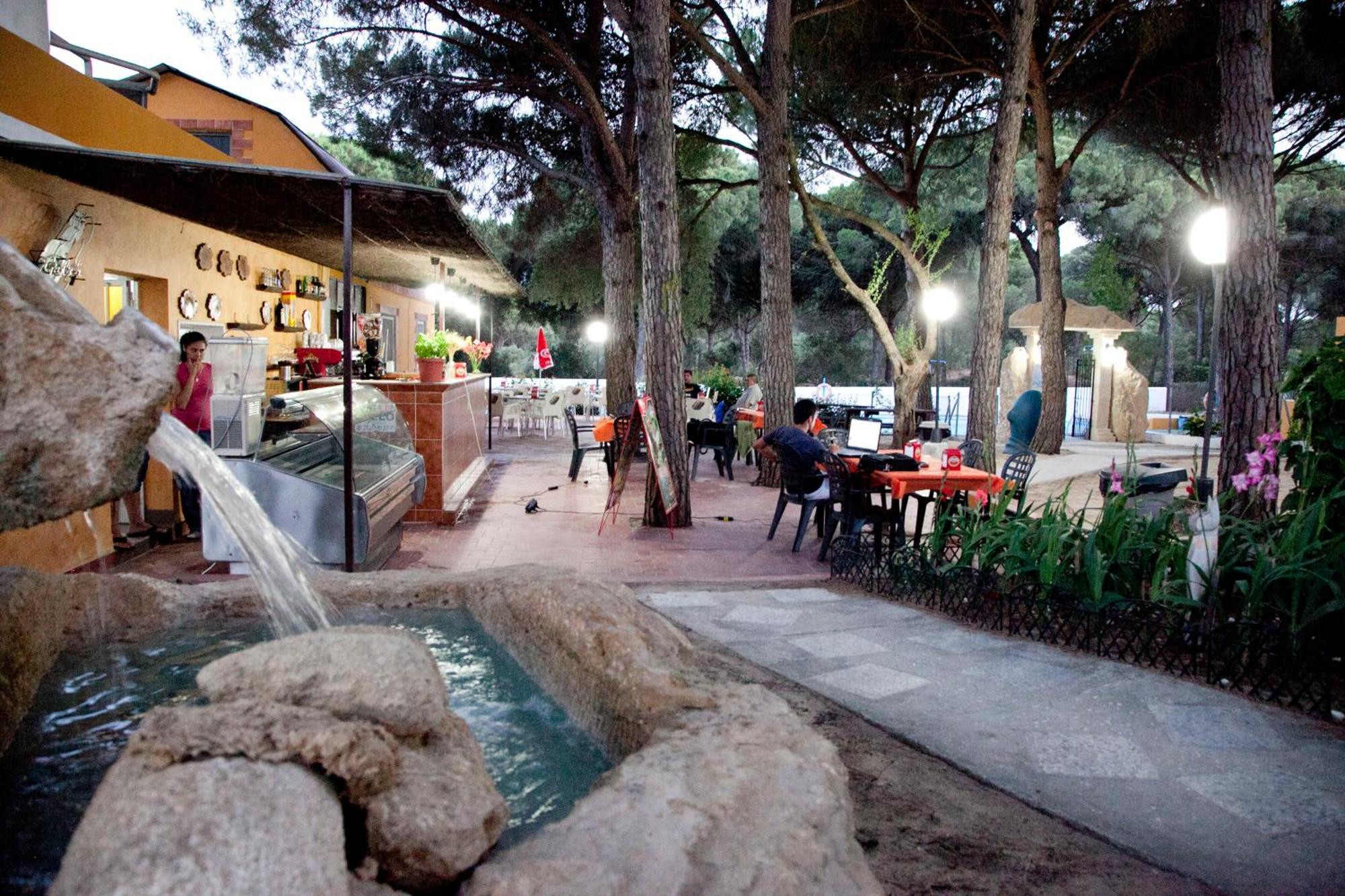 Camping Vejer Вехер де ла Фронтера Екстериор снимка